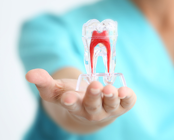 Dentistry | Dental Braces | Dental implant | Veneers | Dental Crown | Tooth Polishing